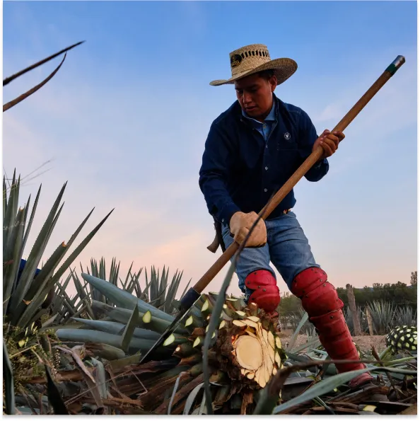 A Farmer